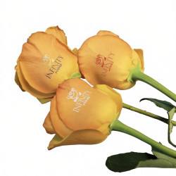 Rose Flower Printer